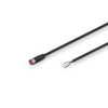 ZK2000-2200-0xxx | Sensor cable, PUR, 3 x 0.25 mm², drag-chain suitable -  - Beckhoff Automation LLC