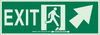 Brady Bradyglo B-324 Polyester Rectangle Green Exit Sign - 14 in Width x 5 in Height - Glow in the Dark - TEXT: EXIT - 90589 - 754476-90589 - R. S. Hughes Company, Inc.