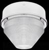 Vandal Resistant Commercial Fixture - VANGF42QTW/E2 - RAB Lighting