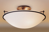 Semi-Flush Mts.-Bowl Style - 224948 - Light Center (The)
