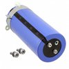 Aluminum Electrolytic Capacitors - 493-7761-ND - DigiKey