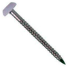 Plastic Headed Pin - Nail - A4 Stainless Steel -- Plastic Headed Pin - Nail - A4 Stainless Steel