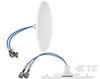 Antennas - CFD69383P-30NF - TE Connectivity