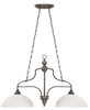 26922-TM Island/Pool Table-2 Light Bar - 604975 - Capital Lighting, Inc.