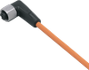 Connecting cable with socket - EVT561 - ifm electronic gmbh