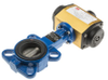 Pneumatic Actuated Valves -- 7998793 - Image
