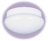 7639-15 Flush Mounts-Bowl Style - 713314 - Capital Lighting, Inc.