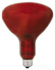 Standard Incandescent Lamp -- 250R40/10-6PK-120 - Image