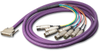DB25 Breakout Cable -- DB25M02XLRMXLRFY - Image