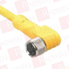 QD Cable/Cord Set - 3552290 - Radwell International