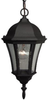 Exterior -Hanging - 93228 - Light Center (The)