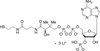 Coenzyme A Trilithium Salt - C636400 - Toronto Research Chemicals, Inc.