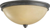 75520-845 Flush Mounts-Bowl Style - 446471 - Capital Lighting, Inc.