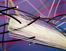 Specialty Optical Fiber image