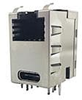 Modular Connectors / Ethernet Connectors - RJE4E1881411 - VAST STOCK CO., LIMITED