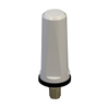 RF Antennas - 553-LPT600/3800DMNW-ND - DigiKey