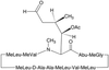 6-[(3R,4R)-3-(Acetyloxy)-N,4-dimethyl-6-oxo-L-norleucine] - A168650 - Toronto Research Chemicals, Inc.
