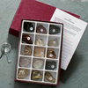 Economy Rock Study Kit - AM2217 - Parco Scientific Company