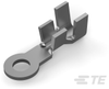 Ring Terminals - 42863-2 - TE Connectivity