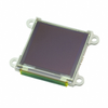LCD, OLED, Graphic - 1613-1111-ND - DigiKey