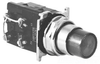 Indicating Light -- 10250T74NAF - Image
