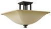 Semi-Flush Mts.-Bowl Style - 22172 - Light Center (The)