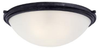Flush Mounts-Bowl Style - 47669 - Light Center (The)