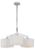 E20823-01 Mid. Chandeliers-Glass Down - 458560 - Capital Lighting, Inc.