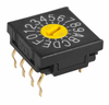SW ROTARY DIP HEX COMP 100MA 5V - FR01FC16P - NKK Switches