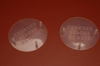 Food Packaging Bone Discs