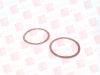 Gasket - 24281989 - Radwell International