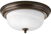 P3925-20EBWB Flush Mounts-Bowl Style - 604196 - Capital Lighting, Inc.