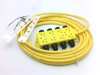 QD Cable/Cord Set - Radwell International