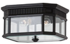 Outdoor Ceiling Light - OL5413BK - Generation Brands