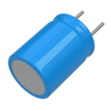 Capacitors - Aluminum Electrolytic Capacitors - MAL203866471E3 - Acme Chip Technology Co., Limited