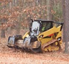 259B Series 3 Compact Track Loader - Image