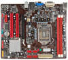 INTEL Socket 1155 Motherboard - H61ML Ver. 6.x - Biostar Microtech (U.S.A) Corp.