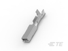 Automotive Terminals - 1981341-1 - TE Connectivity