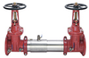 Stainless Steel Double Check Valve Assemblies with Tri-Link Check Valve -- C200, C200