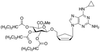 Abacavir 5’-(2,3,4-Tri-O-isobytyryl)-β-D-glucur.. - A105030 - Toronto Research Chemicals, Inc.