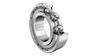 Radial Ball Bearings - 6204-2Z-N - Pacific International Bearing, Inc.