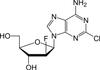 Clofarabine - 16895 - Medical Isotopes, Inc.