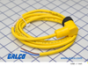 TURK Sensor Cordsets - WK20-2M - Galco Industrial Electronics
