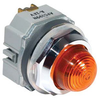 Switch,Pilot Light,Dome,Red,120VAC -- 70172841