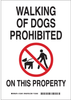 Brady B-555 Aluminum Rectangle White Pet Restrictions Sign - 7 in Width x 10 in Height - TEXT: WALKING OF DOGS PROHIBITED ON THIS PROPERTY - 123489 - 754473-79061 - R. S. Hughes Company, Inc.