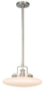 4225-SN Pendants-Glass Down - 449774 - Capital Lighting, Inc.