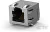 RJ25 Connectors -- 6339212-1