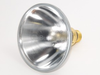 45 Watt, 120 Volt Halogen PAR38 Spot - FAN3034 - bulbs.com