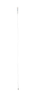 Bottle Brushes -- 1767532 - Image