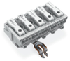Field-Wiring Terminal Block with Linect ® - 294-8315 - WAGO